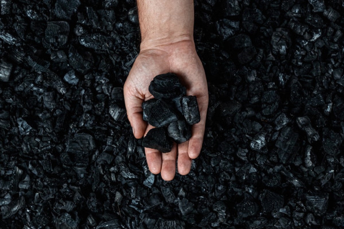 كيف تستخدمون الفحم لإزالة المبيدات من التربة والروائح والرطوبة والعفن من منزلكم (و6 وصفات أخرى مفيدة) Coal