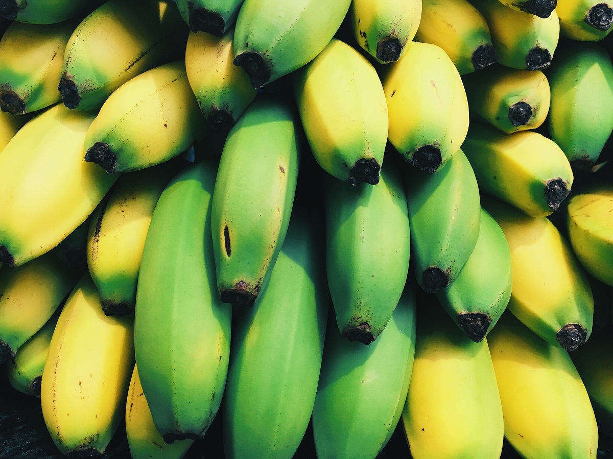 طريقة بسيطة تجعل الموز الأخضر ينضج خلال ساعة واحدة %D8%A7%D9%84%D9%85%D9%88%D8%B2-%D8%A7%D9%84%D8%A3%D8%AE%D8%B6%D8%B1