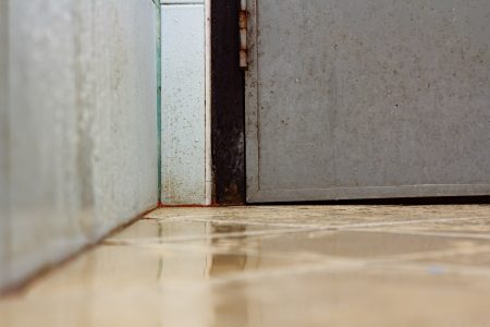 كيف نتخلّص من بقع العفن التي تظهر في الحمام؟