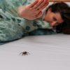 حشرات مثيرة للاشمئزاز