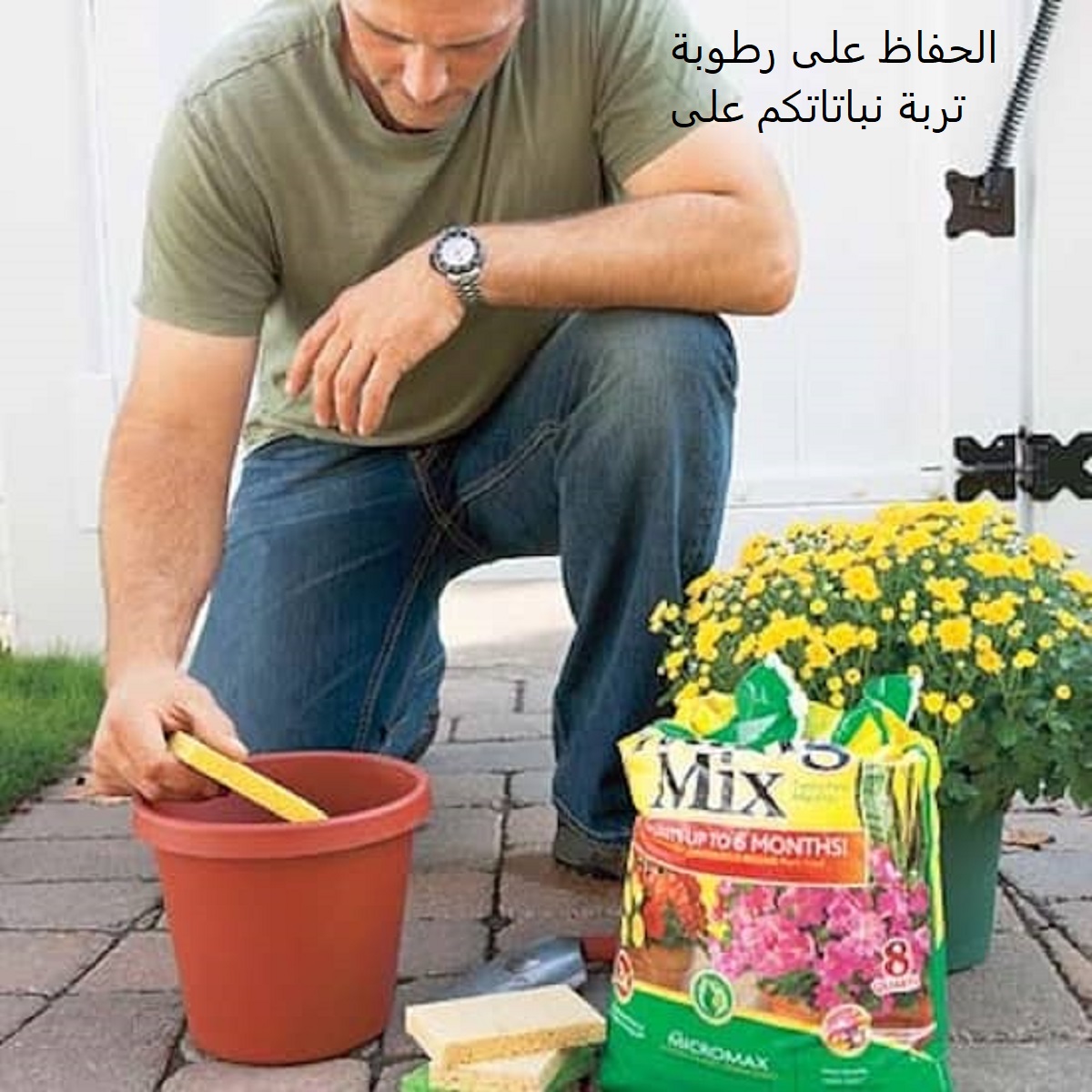الحفاظ-على-رطوبة-تربة-نباتاتكم-على-الدوام